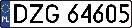 DZG64605