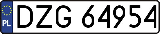 DZG64954