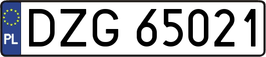 DZG65021