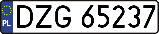 DZG65237