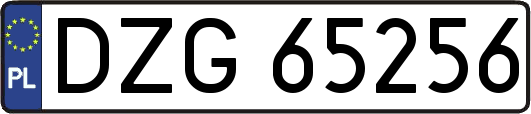 DZG65256