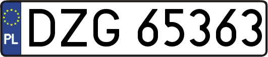 DZG65363