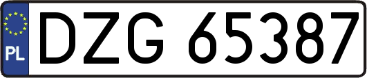 DZG65387