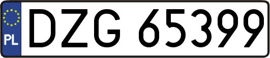 DZG65399