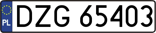 DZG65403