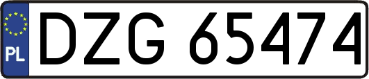 DZG65474