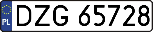 DZG65728