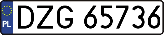 DZG65736