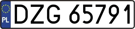 DZG65791