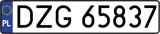 DZG65837