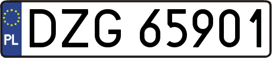 DZG65901