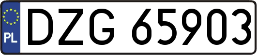 DZG65903