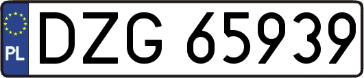 DZG65939