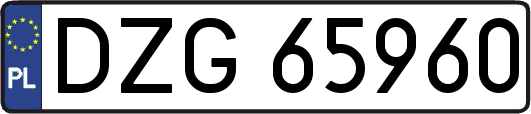 DZG65960