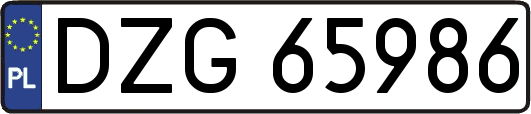 DZG65986