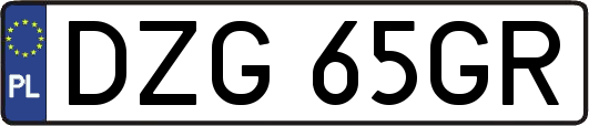 DZG65GR