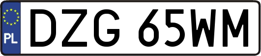 DZG65WM