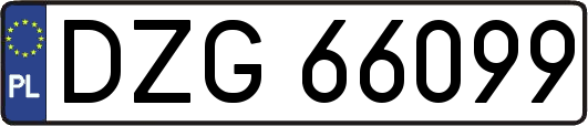 DZG66099