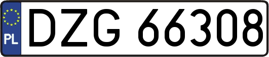 DZG66308