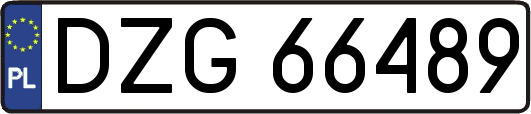 DZG66489