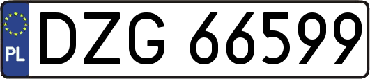 DZG66599