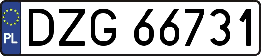 DZG66731