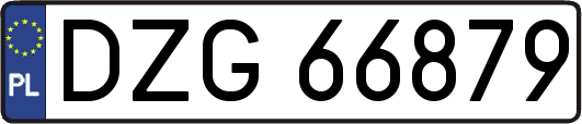 DZG66879