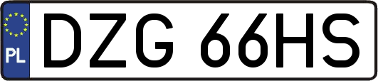 DZG66HS