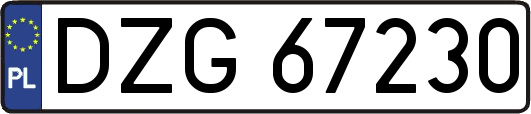 DZG67230