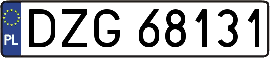 DZG68131