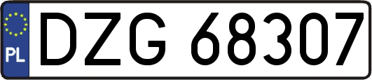 DZG68307