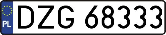 DZG68333