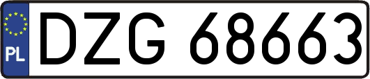 DZG68663