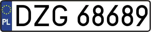 DZG68689