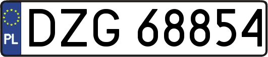 DZG68854