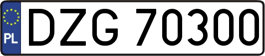 DZG70300