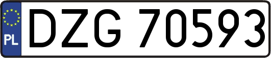 DZG70593