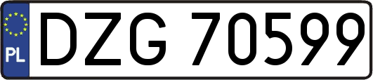 DZG70599