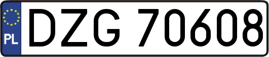 DZG70608