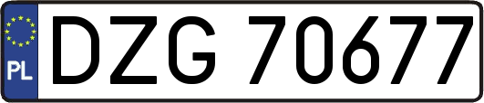 DZG70677