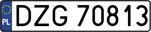 DZG70813