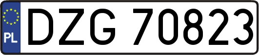 DZG70823