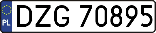 DZG70895