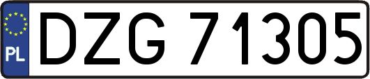 DZG71305