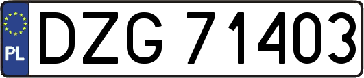 DZG71403