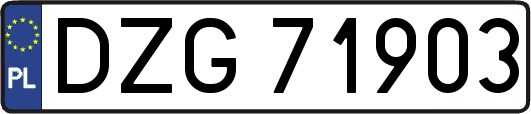 DZG71903