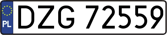 DZG72559