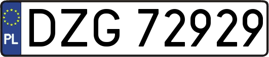 DZG72929