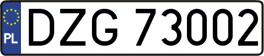 DZG73002