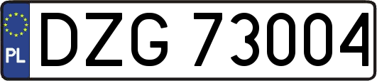 DZG73004